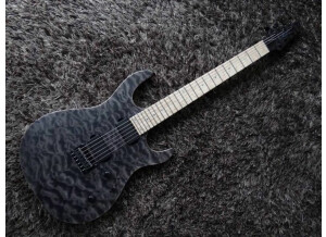 Carvin DC600 (1842)