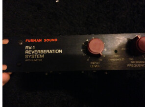 Furman RV-1 Reverberation System (51166)