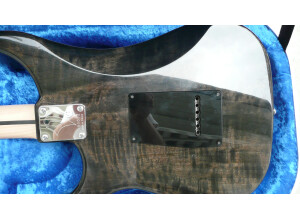 Vigier Excalibur Shawn Lane Master Signature (1696)