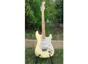 Valley & Blues Stratocaster (40248)
