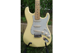 Valley & Blues Stratocaster (41406)