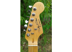Valley & Blues Stratocaster (56563)