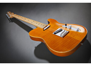 Fender Select Carved Maple Top Telecaster - Amber