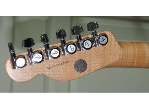 Fender Select Carved Maple Top Telecaster - Amber