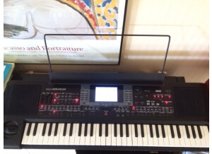 Korg microARRANGER (8427)