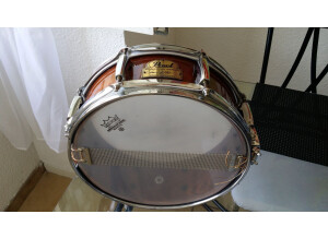 Pearl Omar Hakim (93153)