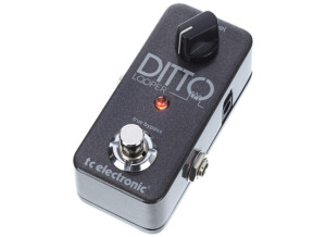 TC Electronic Ditto Looper (4835)