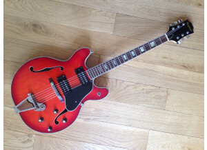 Epiphone EA-250 (39105)