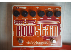 Electro-Harmonix Holy Stain (56531)