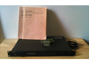 Roland D-110 (98296)