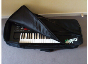 Roland SH-201 (62518)