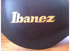 Ibanez AFS75TD (53258)