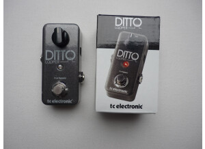 TC Electronic Ditto Looper (46058)