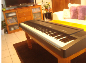 Roland EP-9e (8705)