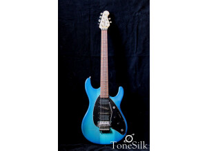 Music Man Steve Morse (22222)