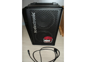 TC Electronic BG250-208 (49327)