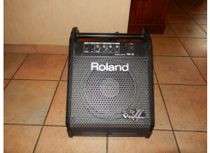Roland PM-10 (47582)