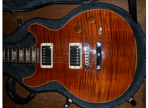 Gibson Les Paul Double Cut DC Pro (75072)
