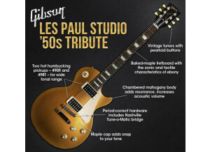 Gibson Les Paul Studio '50s Tribute Humbucker - Satin Gold Top Dark Back (75644)