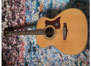 Tanglewood Tanglewood guitare Premier TW-170AS