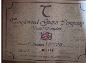 Tanglewood Tanglewood guitare Premier TW-170AS