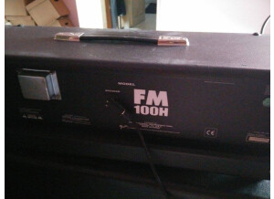 Fender FM 100 Head (76568)