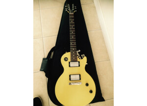 Gibson Les Paul Vixen (5254)