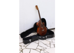 Tanglewood TW47 E (29990)