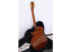 Tanglewood TW47 E (76278)