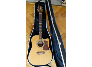 Olympia Guitars OD10-SCE (96192)