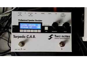 Two Notes Audio Engineering Torpedo C.A.B. (Cabinets in A Box) (56031)