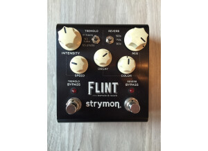 Strymon Flint (94870)
