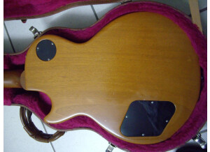 Gibson Les Paul Classic (44620)