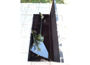 Epiphone 1958 Korina Explorer (22751)