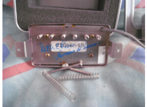 Seymour Duncan SETH LOVER NECK & BRIDGE