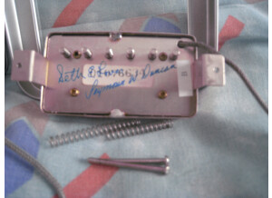 Seymour Duncan SETH LOVER NECK & BRIDGE