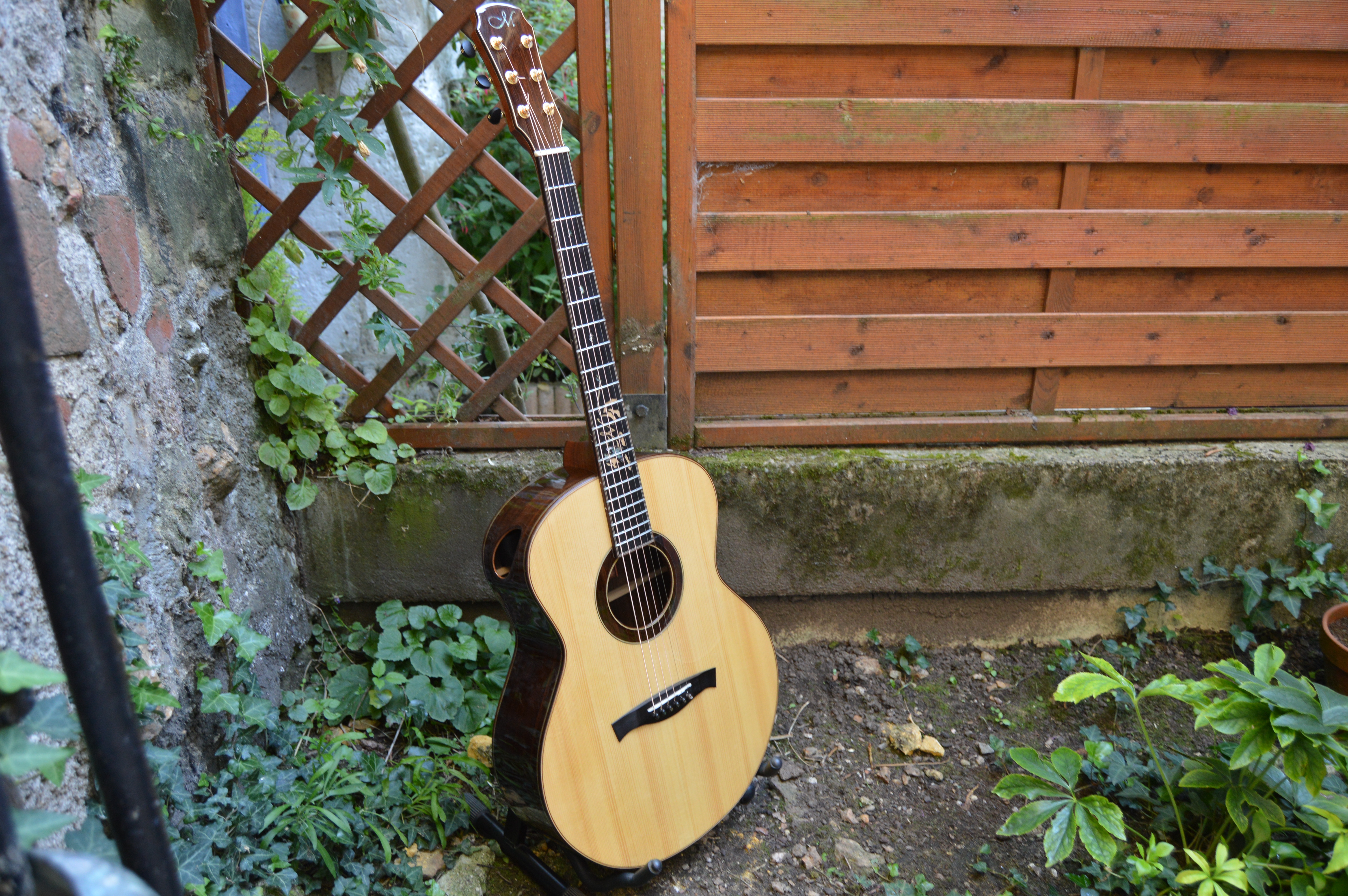 Maestro Guitars Raffles MB