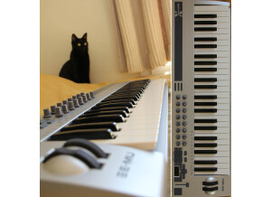 E-MU Xboard 49 (83974)