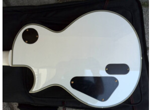 LTD EC-1000T/CTM Ebony - Snow White (78561)