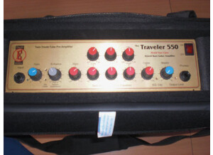 Eden Bass Amplification WT-550 TheTraveler
