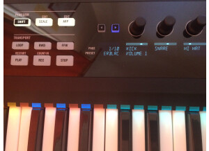 Native Instruments Komplete Kontrol S49 (74114)