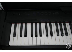 Casio PX-830BP (29154)