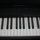 Privia PX-830 Privia PX-830