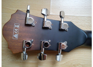 Ibanez AS53L (40303)