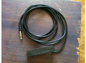 Fishman Neo-D Magnetic Soundhole Pickup (21956)