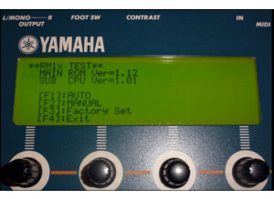 Yamaha RM1X (30899)