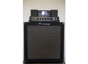Ampeg Heritage B-15N (75376)
