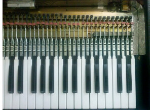 Hohner Pianet T (59759)