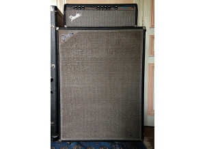 Fender Bassman 100 (Silverface) (39131)