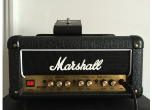 Marshall 1990s DSL1H (7542)